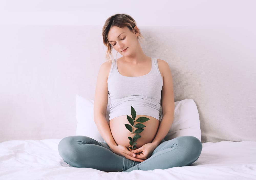 How Acupuncture Can Help Prevent Miscarriages