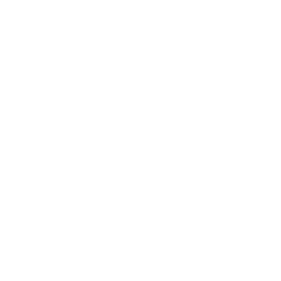Silhouette of a pregnant person in profile with hair tied up.